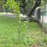 Comfort House Near Pyramids Ii * Visoko